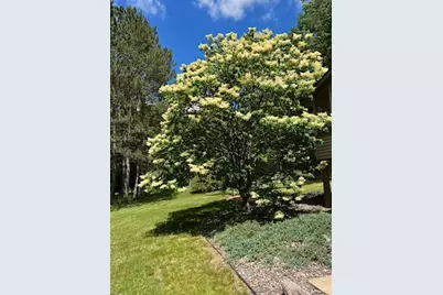 32050 Park Trail, Center City, MN 55012 - Photo 62