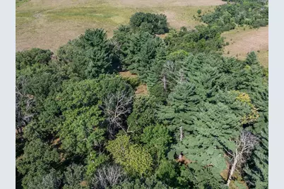 Tbd 40 Acre State 210, Pillager, MN 56473 - Photo 22