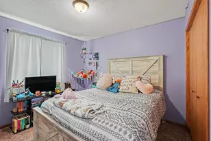 2730 Hamlin Ave NE, Buffalo, MN 55313 - Photo 10
