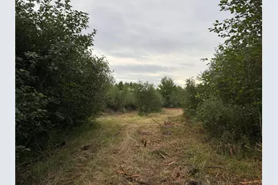 Tbd County Road 12, Kettle River, MN 55767 - Photo 32