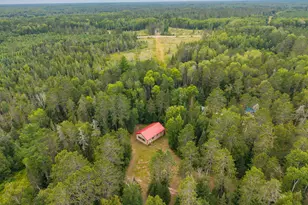 23917 County Road 53, Bigfork, MN 56628 - Photo 4