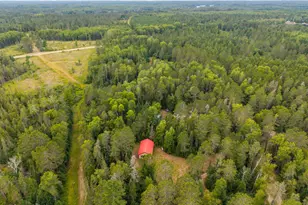 23917 County Road 53, Bigfork, MN 56628 - Photo 30