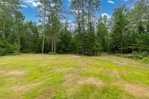23917 County Road 53, Bigfork, MN 56628 - Photo 26