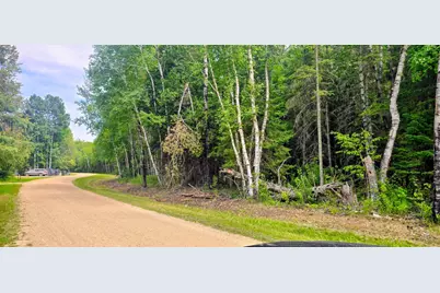 Tbd Dawson Road NW, Angle Inlet, MN 56711 - Photo 6
