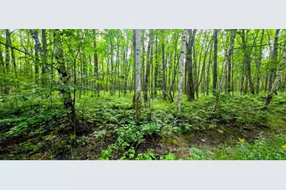 Tbd Dawson Road NW, Angle Inlet, MN 56711 - Photo 4