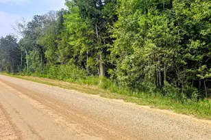 Tbd Dawson Road NW, Angle Inlet, MN 56711 - Photo 1