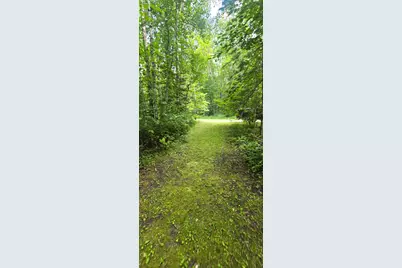17365 E Pine Drive NW, Angle Inlet, MN 56711 - Photo 4