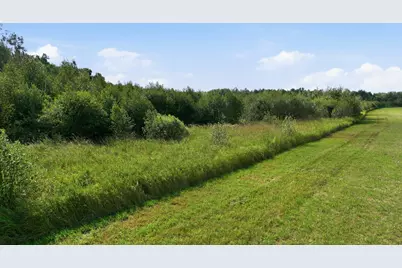 10 Acres State Hwy 40, Bruce, WI 54819 - Photo 8
