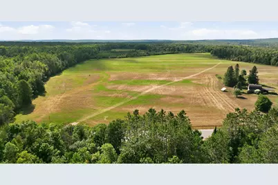 10 Acres State Hwy 40, Bruce, WI 54819 - Photo 16