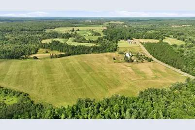 10 Acres State Hwy 40, Bruce, WI 54819 - Photo 14