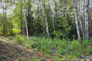 4585 Hwy 11, International Falls, MN 56649 - Photo 12
