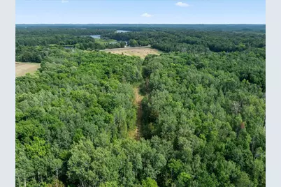 Tbd Azalea Road, Motley, MN 56466 - Photo 12