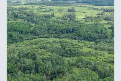 Tbd Azalea Road, Motley, MN 56466 - Photo 22