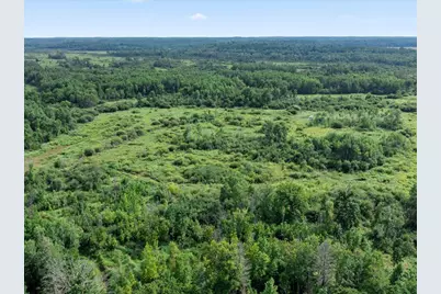 Tbd Azalea Road, Motley, MN 56466 - Photo 10