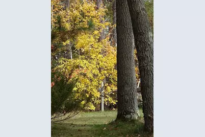 22519 County Road 3, Merrifield, MN 56465 - Photo 24