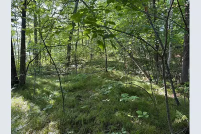 25Xxx Eagle Ridge Road, Aitkin, MN 56431 - Photo 4