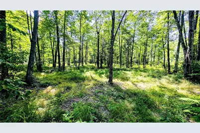 W8185 County Road J, Ladysmith, WI 54848 - Photo 34