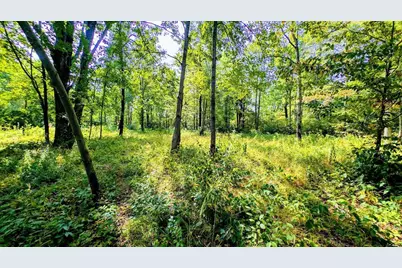 W8185 County Road J, Ladysmith, WI 54848 - Photo 28