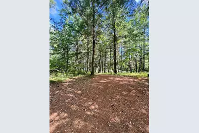 Tbd Glacial Ridge Trail, Nevis, MN 56467 - Photo 10