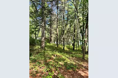 Tbd Glacial Ridge Trail, Nevis, MN 56467 - Photo 12