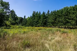 38798 County Road 2, Saint Joseph, MN 56374 - Photo 100