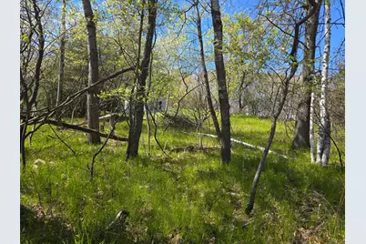 Tbd NE West Fawn Lake Road, Stacy, MN 55079 - Photo 10