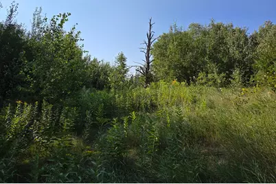 Tbd Lot 3 190th Street, Bagley, MN 56621 - Photo 14