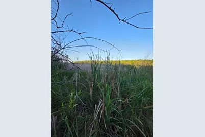 Tbd Lot 3 190th Street, Bagley, MN 56621 - Photo 6