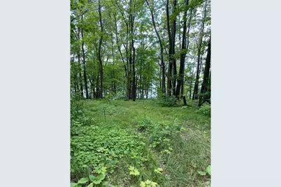 Tbd Idas Road, Osage Township, MN 56570 - Photo 4
