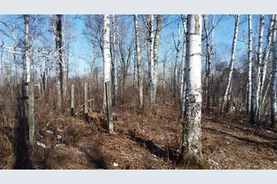 Tbd Happy Tree Lane, Bruno, MN 55712 - Photo 32