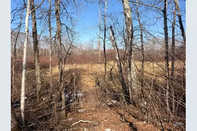 Tbd Happy Tree Lane, Bruno, MN 55712 - Photo 26