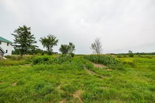 36995 State Hwy 64, Gilman, WI 54433 - Photo 22