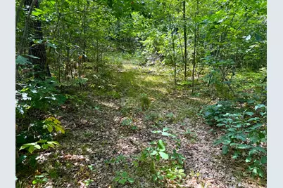 W9Xxx Webb Lake Drive, Trego, WI 54888 - Photo 8
