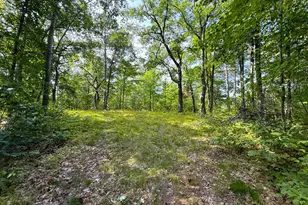 W9Xxx Webb Lake Dr, Trego, WI 54888 - Photo 1