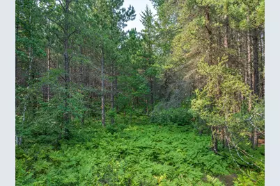 Tract A Highway 21, Babbitt, MN 55706 - Photo 6