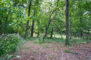 111 W Colvill St, Cannon Falls, MN 55009 - Photo 74