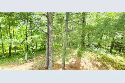 6438 Cougar Trail NW, Walker, MN 56484 - Photo 22