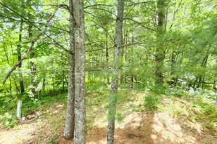6438 Cougar Trl NW, Walker, MN 56484 - Photo 22