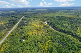 7665 Hwy 65, Littlefork, MN 56653 - Photo 1