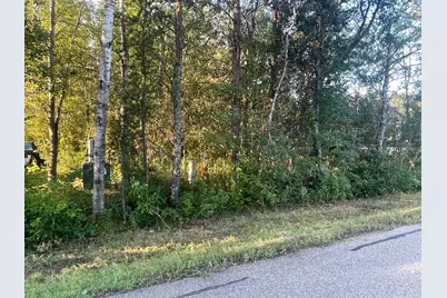 Tbd Crow Wing Circle SW, Pillager, MN 56473 - Photo 4