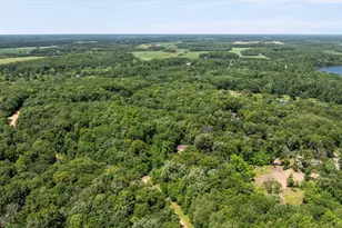 40142 Pandora Dr, Browerville, MN 56438 - Photo 26