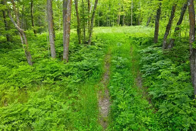 67246 340th Avenue, Hill City, MN 55748 - Photo 20