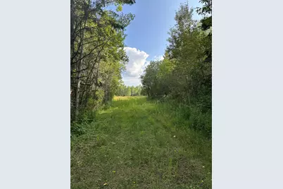 Tbd Esh Acreage Highway 53, Ray, MN 56669 - Photo 6