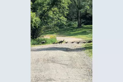 N8067 County Road Q, Knapp, WI 54749 - Photo 28