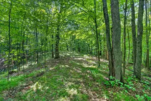 Tbd Cty Hwy B, Shell Lake, WI 54871 - Photo 14