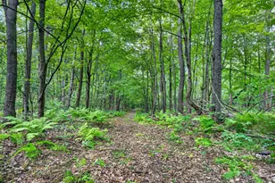 Tbd Cty Hwy B, Shell Lake, WI 54871 - Photo 40