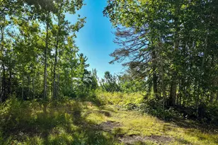 Xxx Casper's Hill Rd, Grand Marais, MN 55604 - Photo 1