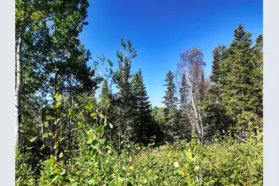 Xxx Casper's Hill Road, Grand Marais, MN 55604 - Photo 4