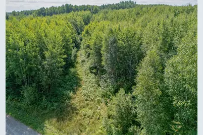 Tbd County Rd 523, Effie, MN 56639 - Photo 4