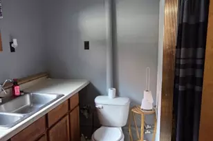 3579 Town Road 415, Ranier, MN 56649 - Photo 30